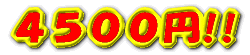 4500円!