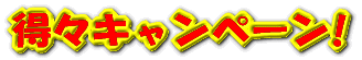 ���X�L�����y�[���I