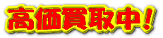 �������撆�I