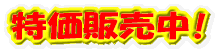 販売開始!!