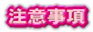 注意事項